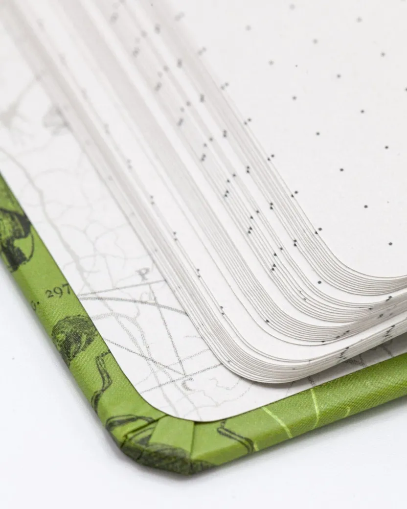 Cognitive Surplus Insect Hardcover Notebook | Dot Grid Graph Paper Notebook* The Hypothesis | Entomology