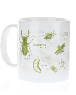 Cognitive Surplus Insect Mug 20 oz | Science Mug* Mugs | Entomology