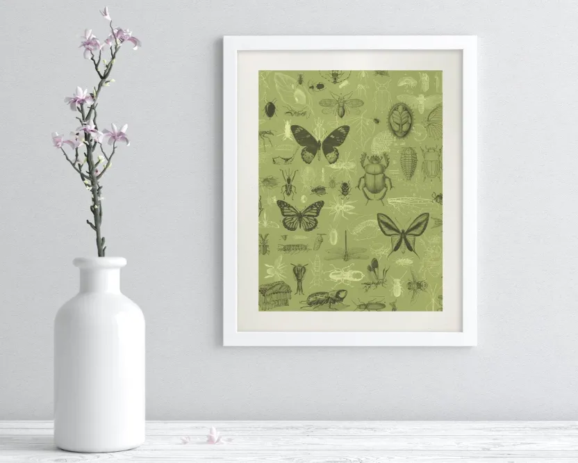 Cognitive Surplus Insect Scientific Illustration Museum Print* Wall Art | Entomology
