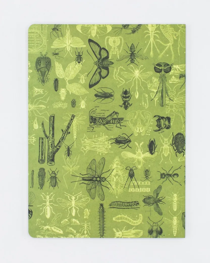 Cognitive Surplus Insect Softcover Notebook | Butterfly Garden Journal* The Experiment | Entomology