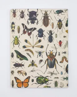 Cognitive Surplus Insect Softcover Notebook - Dot Grid* The Experiment | Entomology