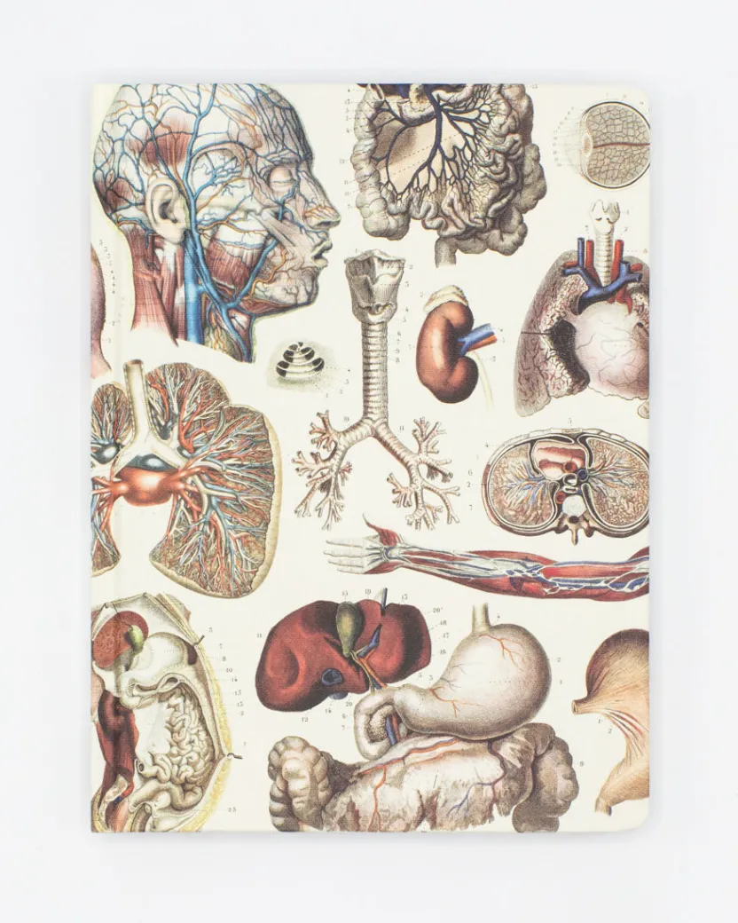 Cognitive Surplus Internal Medicine Hardcover Notebook | * The Hypothesis | Medicine
