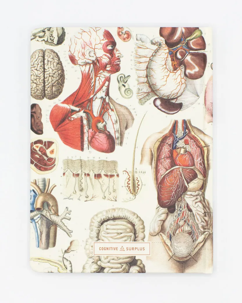 Cognitive Surplus Internal Medicine Hardcover Notebook | * The Hypothesis | Medicine