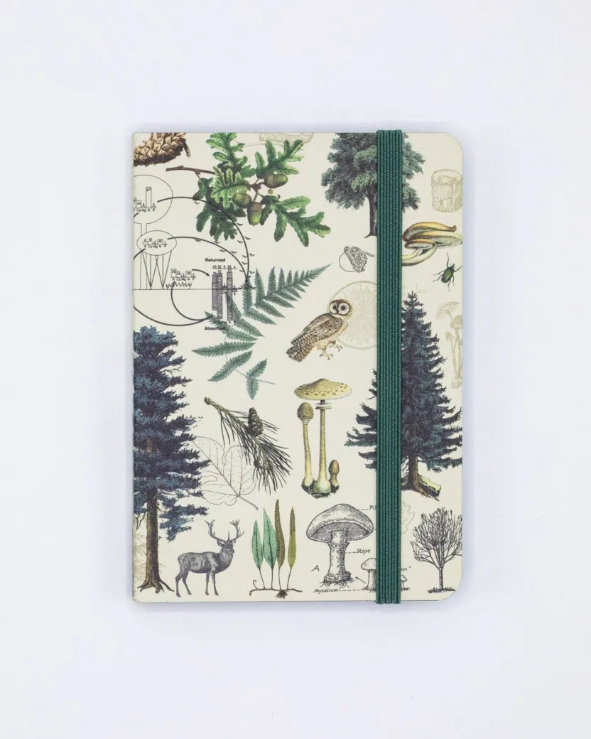 Cognitive Surplus Into the Forest Observation Softcover* The Observation | Botany