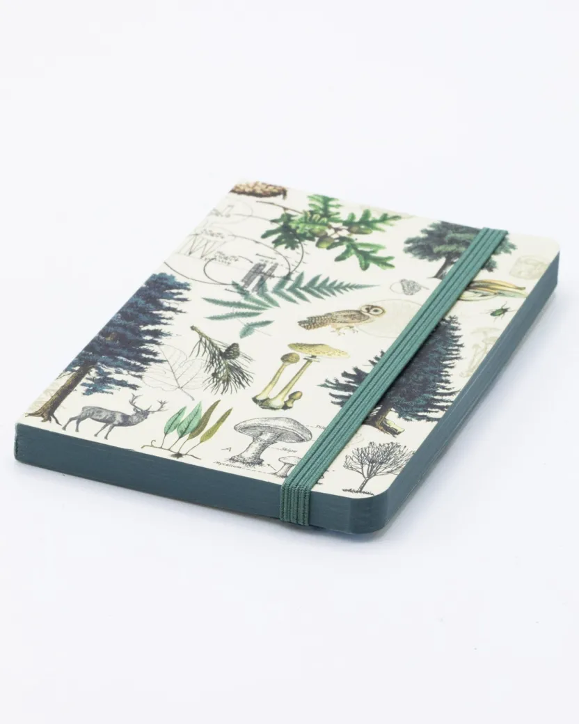 Cognitive Surplus Into the Forest Observation Softcover* The Observation | Botany