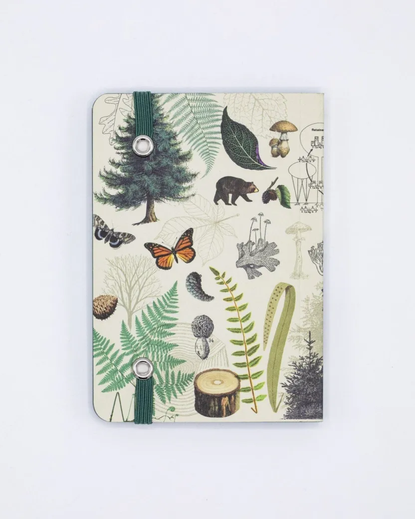 Cognitive Surplus Into the Forest Observation Softcover* The Observation | Botany