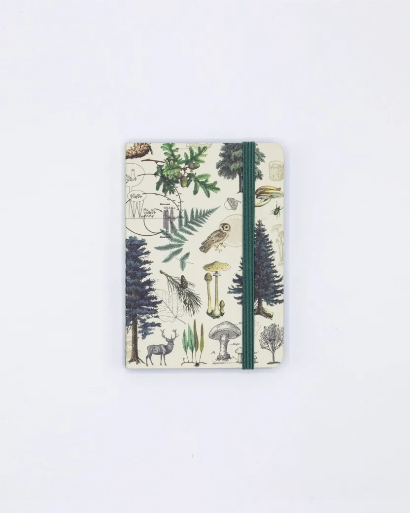 Cognitive Surplus Into the Forest Observation Softcover* The Observation | Botany