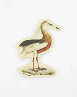 Cognitive Surplus Javan Pond Heron Sticker* Stickers | Ornithology