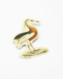 Cognitive Surplus Javan Pond Heron Sticker* Stickers | Ornithology