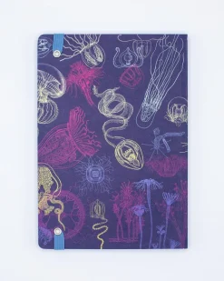 Cognitive Surplus Jellyfish A5 Notebook - Marine Biology - Dotted Lines | * The Analysis | Marine Biology
