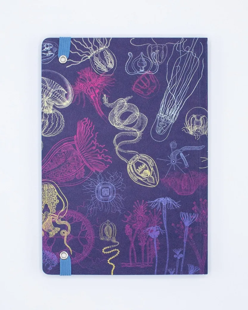 Cognitive Surplus Jellyfish A5 Notebook - Marine Biology - Dotted Lines | * The Analysis | Marine Biology