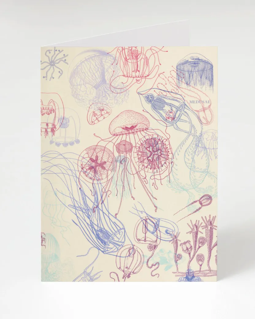 Cognitive Surplus Jellyfish Card - Marine Biology Stationery | * Greeting Cards | Marine Biology