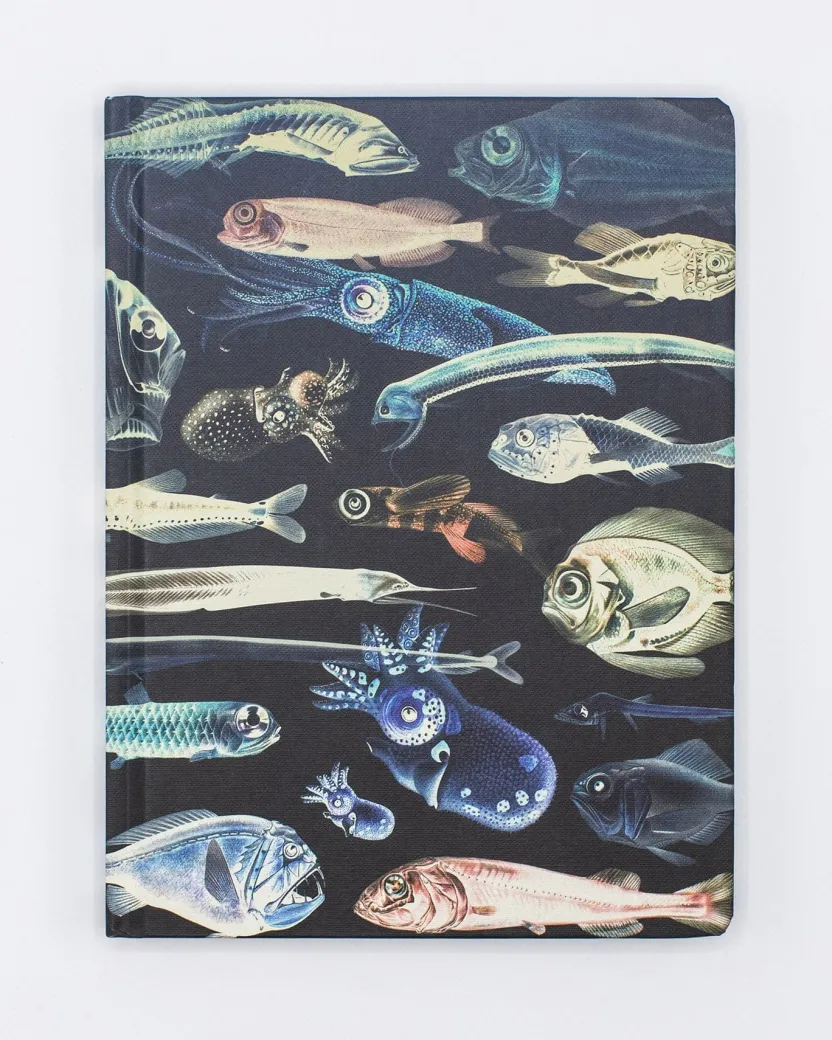 Cognitive Surplus Jellyfish Print Notebook - Hardcover | Biology Gifts* The Hypothesis | Marine Biology