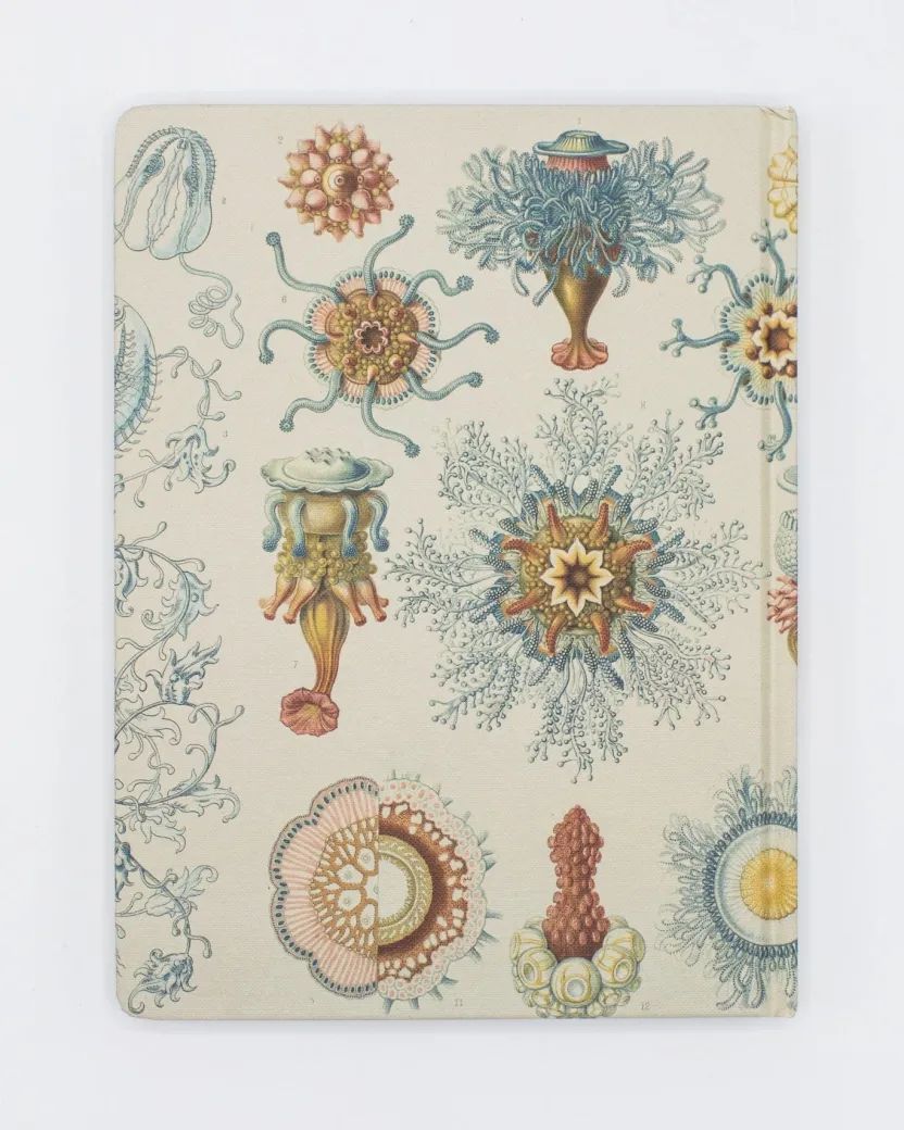 Cognitive Surplus Jellyfish Print Notebook - Hardcover | Biology Gifts* The Hypothesis | Marine Biology