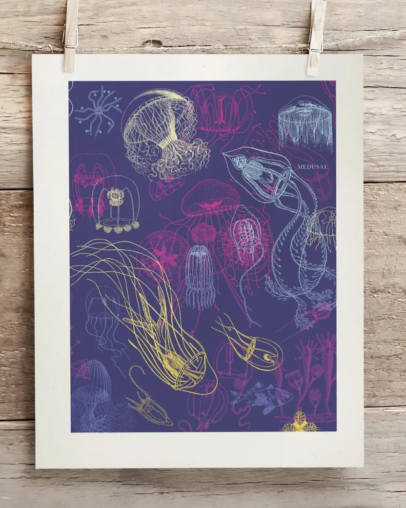 Cognitive Surplus Jellyfish Scientific Illustration Museum Print* Wall Art | Marine Biology