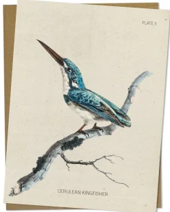 Cognitive Surplus Kingfisher Bird Greeting Card - Ornithology Sationery | * Greeting Cards | Ornithology