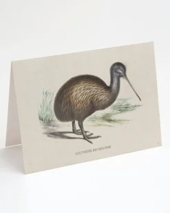 Cognitive Surplus Kiwi Bird Greeting Card - Ornithology Stationery | * Greeting Cards | Ornithology