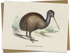 Cognitive Surplus Kiwi Bird Greeting Card - Ornithology Stationery | * Greeting Cards | Ornithology