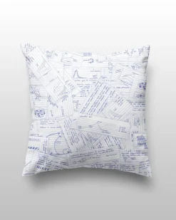 Cognitive Surplus Lab Notes Pillow Cover* Pillow Covers | Chemistry