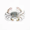 Cognitive Surplus Lady Crab Sticker* Stickers | Marine Biology