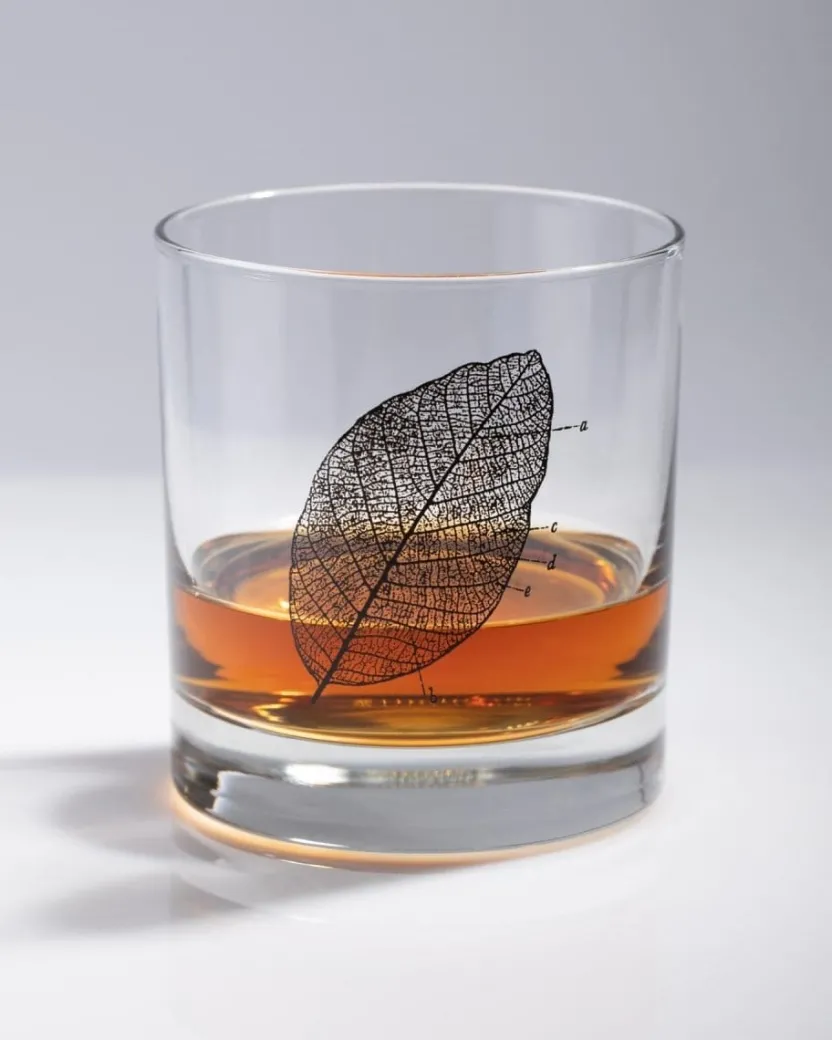 Cognitive Surplus Leaf Diagram Cocktail Candle* Candles | Botany