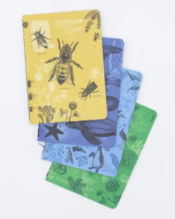 Cognitive Surplus Life Science Pocket Notebooks Set of 4 | Bee Journal* The Research | Kitchen Science