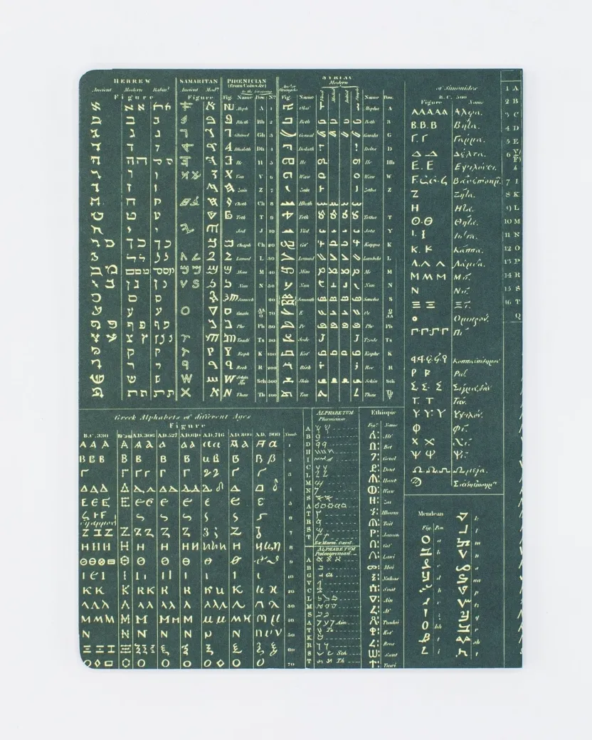 Cognitive Surplus Linguistics Softcover Notebook | Travel Journal* The Experiment | Anthropology & Archaeology
