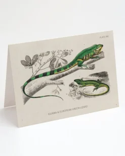 Cognitive Surplus Lizard Greeting Card - Biology Stationery | * Greeting Cards | Biology