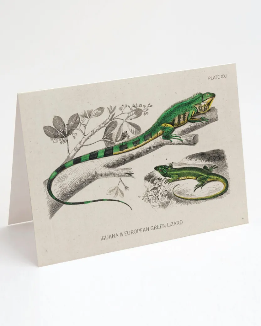 Cognitive Surplus Lizard Greeting Card - Biology Stationery | * Greeting Cards | Biology