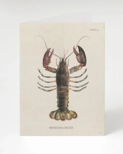 Cognitive Surplus Lobster Greeting Card - Marine Biology Stationery | * Greeting Cards | Marine Biology