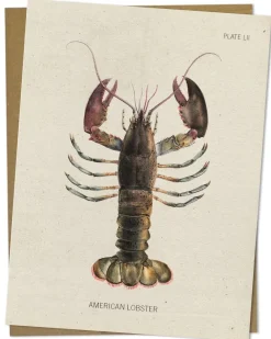 Cognitive Surplus Lobster Greeting Card - Marine Biology Stationery | * Greeting Cards | Marine Biology