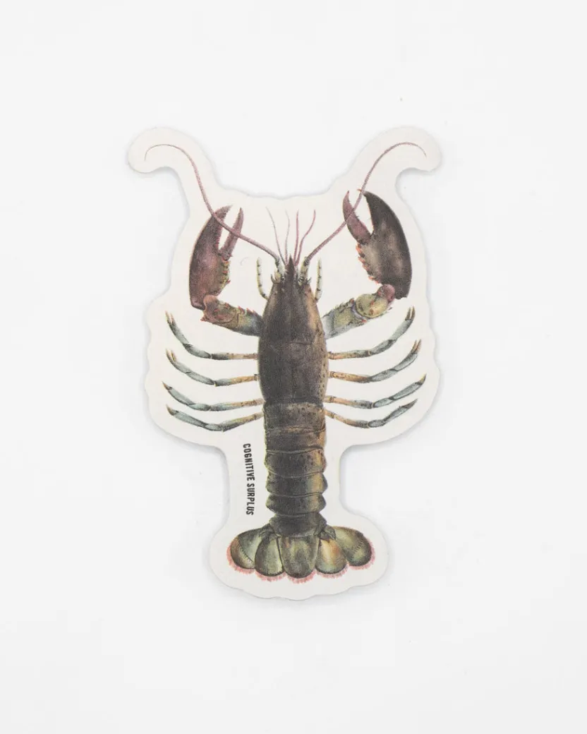 Cognitive Surplus Lobster Sticker* Stickers | Marine Biology