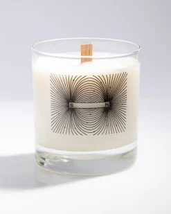 Cognitive Surplus Magnetic Field Cocktail Candle* Candles | Physics