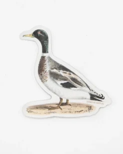 Cognitive Surplus Mallard Sticker* Stickers | Ornithology