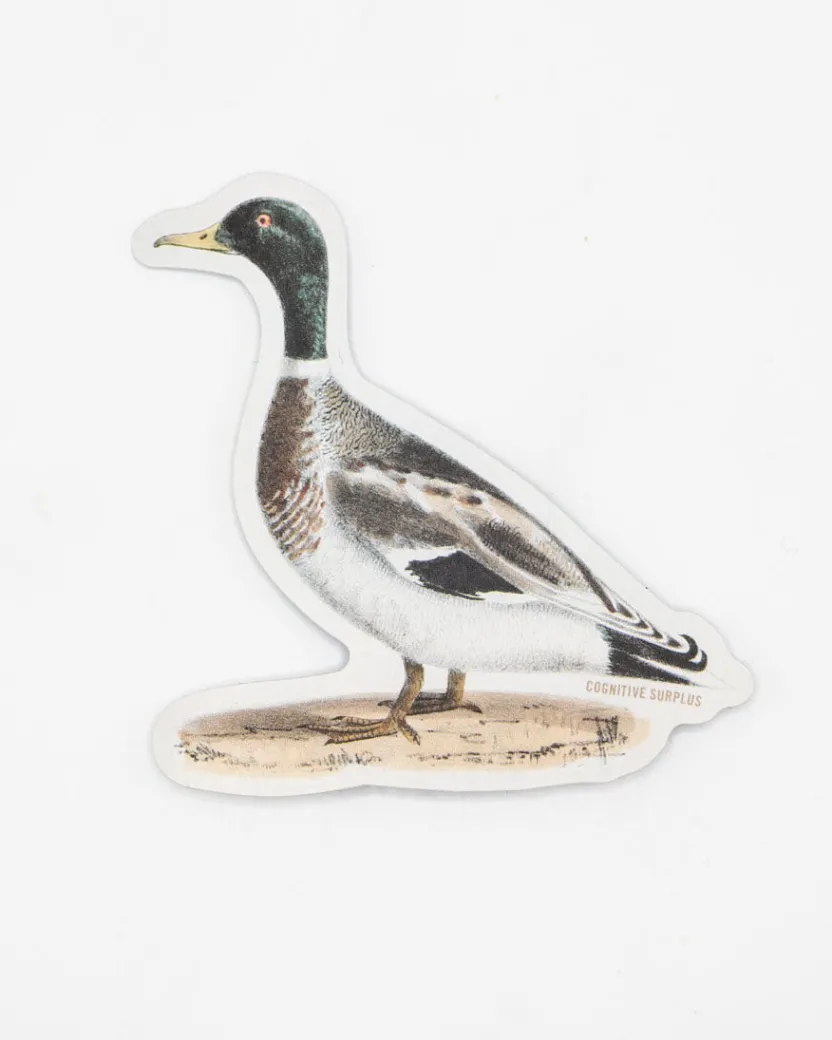 Cognitive Surplus Mallard Sticker* Stickers | Ornithology