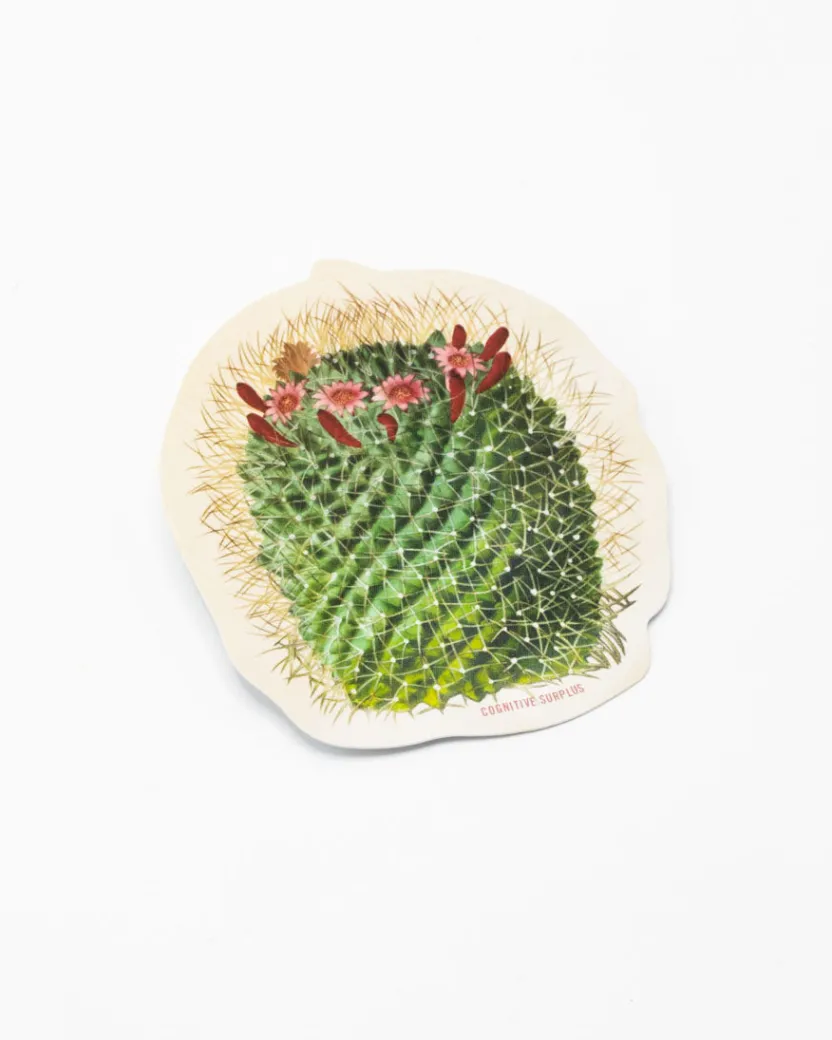 Cognitive Surplus Mammillaria Cactus Sticker* Stickers | Botany