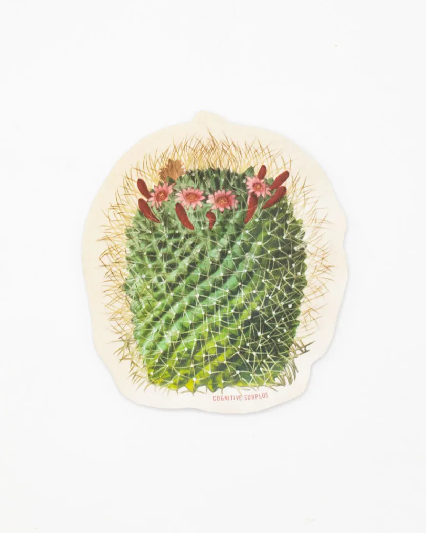 Cognitive Surplus Mammillaria Cactus Sticker* Stickers | Botany