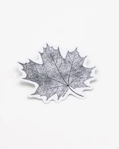 Cognitive Surplus Maple Leaf Sticker* Stickers | Botany