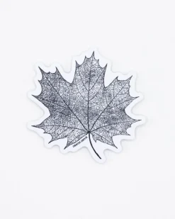 Cognitive Surplus Maple Leaf Sticker* Stickers | Botany