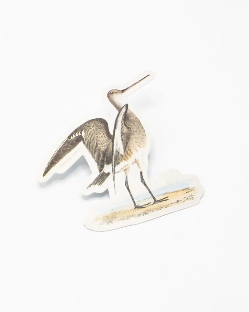 Cognitive Surplus Marbled Godwit Sticker* Stickers | Ornithology