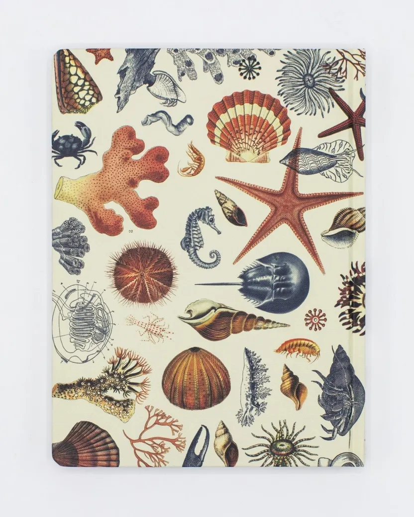 Cognitive Surplus Marine Biology Notebook - Hardcover | Dot Grid Journal* The Hypothesis | Marine Biology