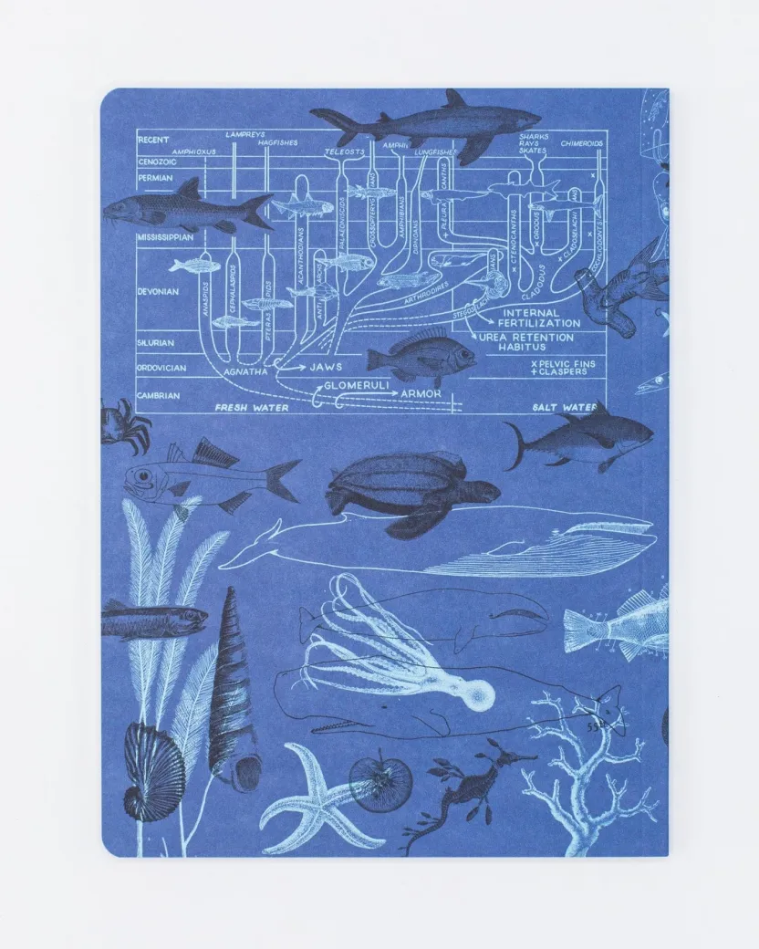 Cognitive Surplus Marine Biology Notebook - Softcover | Recycled Notebook* The Experiment | Marine Biology