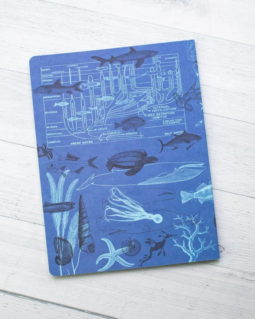 Cognitive Surplus Marine Biology Notebook - Softcover | Recycled Notebook* The Experiment | Marine Biology