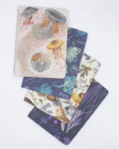 Cognitive Surplus Marine Biology Pocket Notebooks Set of 4 | Marine Biology* The Research | Marine Biology