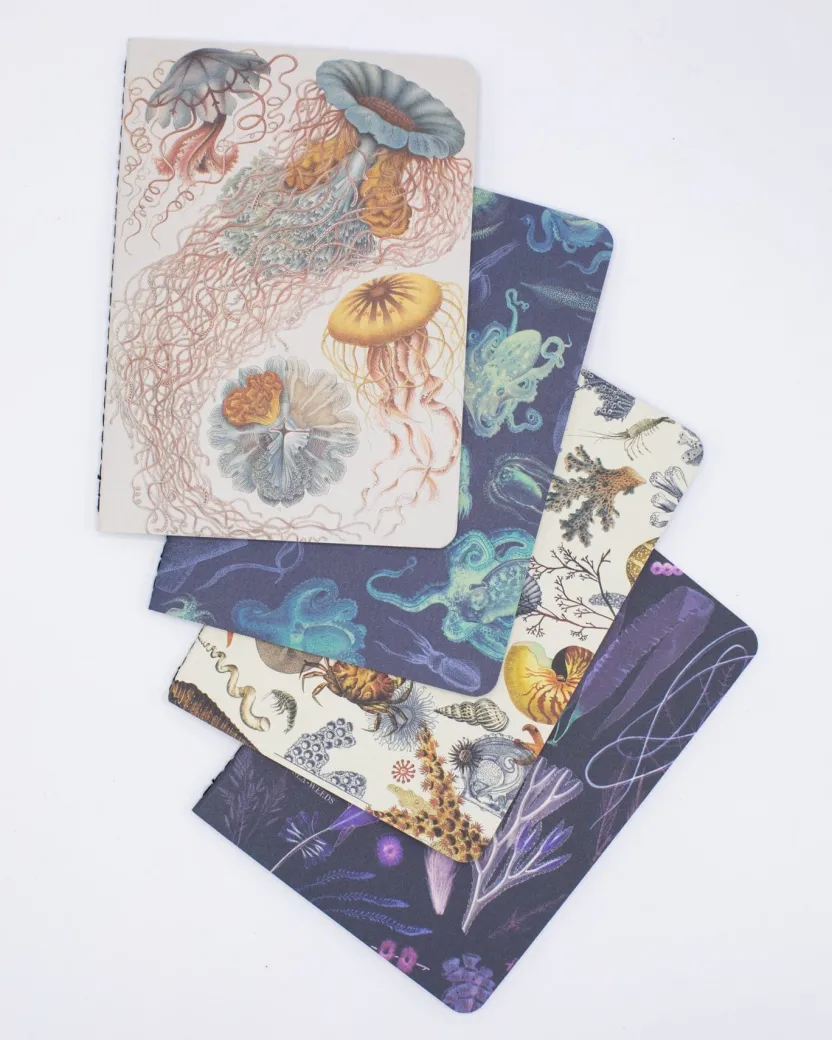 Cognitive Surplus Marine Biology Pocket Notebooks Set of 4 | Marine Biology* The Research | Marine Biology