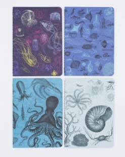Cognitive Surplus Marine Biology Pocket Notebooks Set of 4 | Marine Biology* The Research | Marine Biology