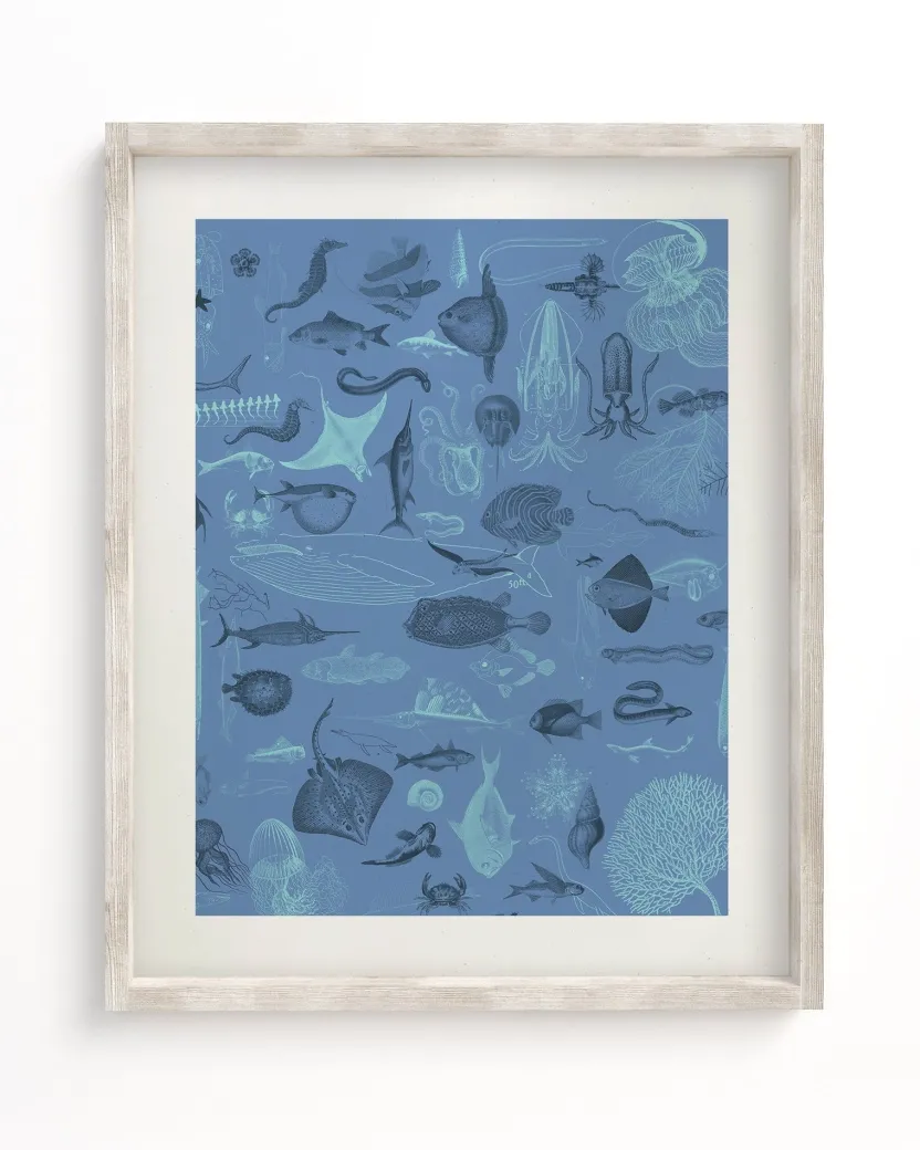 Cognitive Surplus Marine Biology Scientific Illustration Museum Print* Wall Art | Marine Biology
