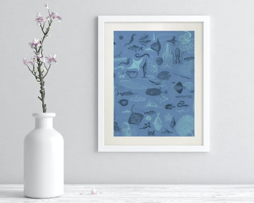 Cognitive Surplus Marine Biology Scientific Illustration Museum Print* Wall Art | Marine Biology