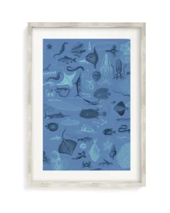 Cognitive Surplus Marine Biology Scientific Illustration Museum Print* Wall Art | Marine Biology