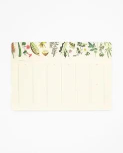 Cognitive Surplus Medicinal Botany Notepads - Herbal Pharmacy Market Pad | * Notepads | Pharmacy
